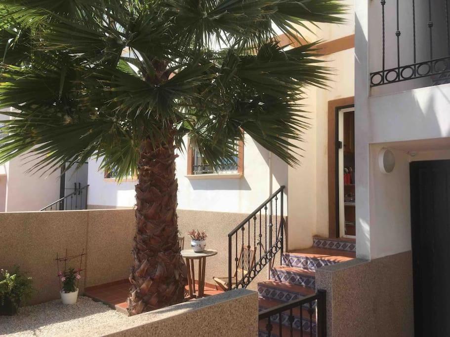 Lovely With Two Big Terrasses Appartement